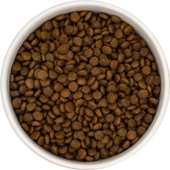 KLEINE RASSEN * Ente mit Süßkartoffeln, Orangen und Preiselbeeren - GETREIDEFREI