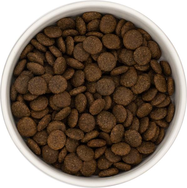 5er Proben Mix  erwachsene Hunde Premium & Getreidefrei